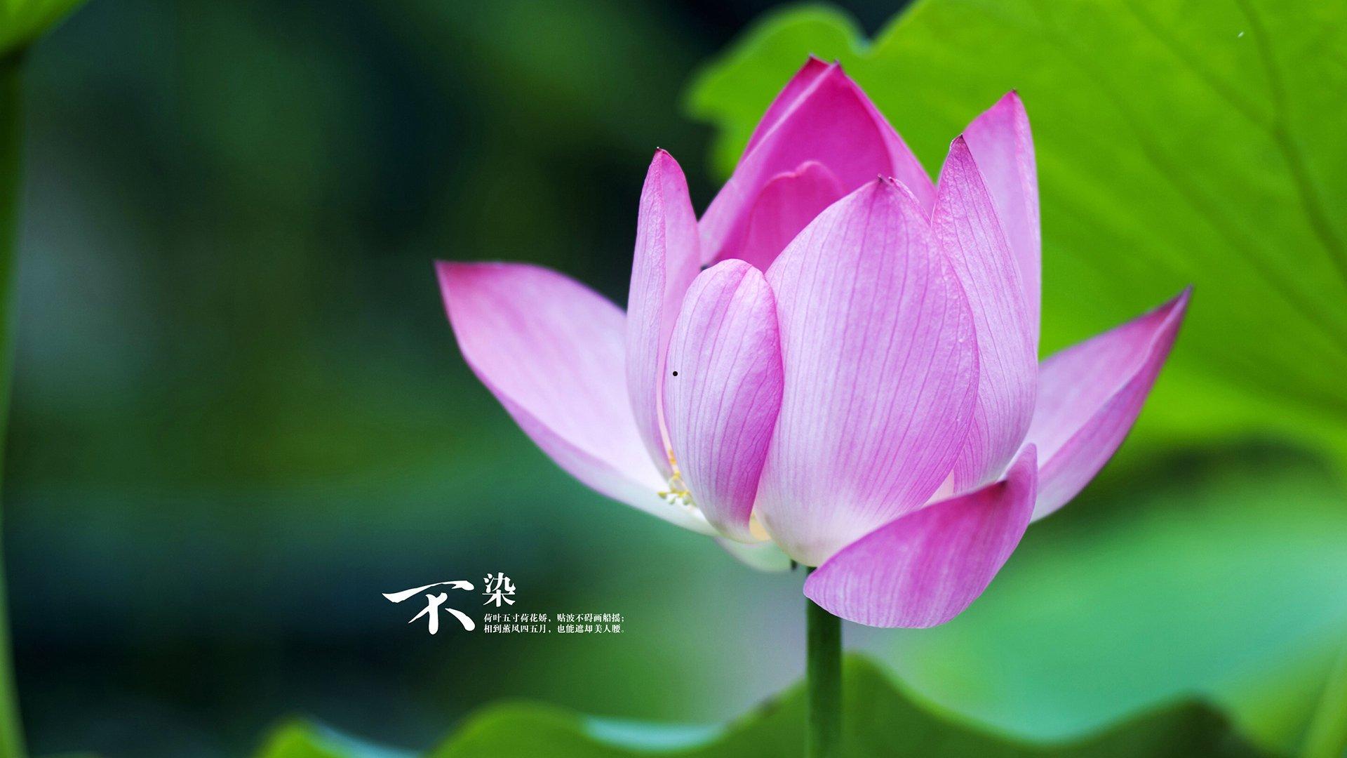 久热热门电影有哪些